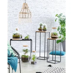 Clearance BULLE DE NATURE Terrarium quitto taille L Ø 10 x h 30 cm