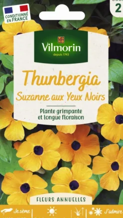 Best VILMORIN Thunbergia Suzanne aux yeux noirs - graines à semer