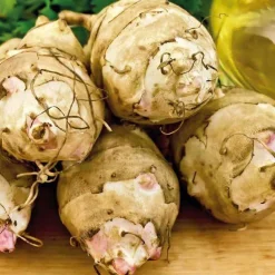 Best BOTANIC® Topinambourg Bio. Le pot de 1 litre