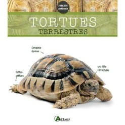 Online ÉDITIONS ARTEMIS Tortues terrestres. Editions Artemis