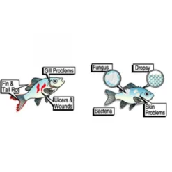 Sale ANTINEA Traitement à large spectre, 20ml - ESHA - modèle 2000