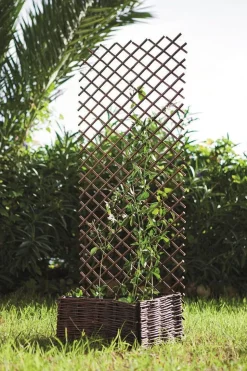 Hot NORTENE Treillis extensible en osier naturel Treilliwillow - 0,50 x 1,50 m