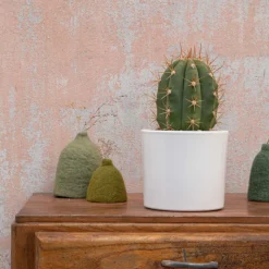 Hot BOTANIC® Trichocereus pasacana en pot blanc émaillé H 20 x Ø 20 cm