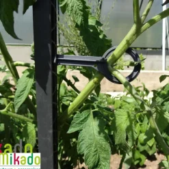 Discount MIKADO Tuteur à tomate avec 4 attaches coloris gris  - 180 cm