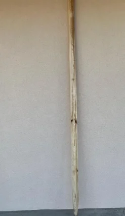 Best ROBIN Tuteur en bois naturel brut pin écorcé Hood - Ø 7 x H 250 cm