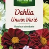 VILMORIN Dahlia Unwin Varié - graines à semer