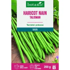 New BOTANIC® Graines de haricot nain talisman extra-fin sans fil - graines à semer 200 g