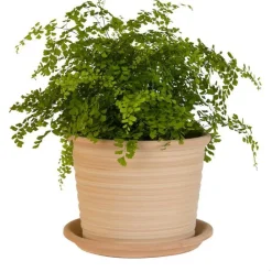 Outlet TERRABLANCA Pot strié gamme cocio liso Ø 40 cm
