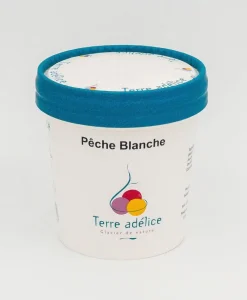 Hot TERRE ADELICE Sorbet pêche blanche Terre Adélice - Pot de 120 ml